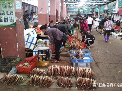 20180822173126S9KFQ9