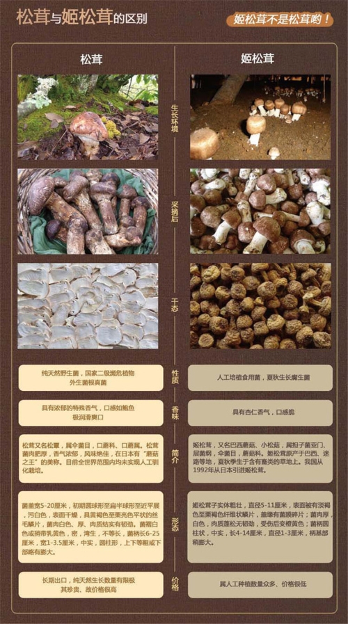 20180822173346X83QIK