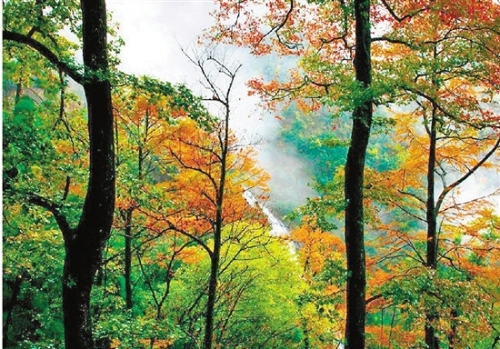 W020180824323306684413 W020180824323306684413