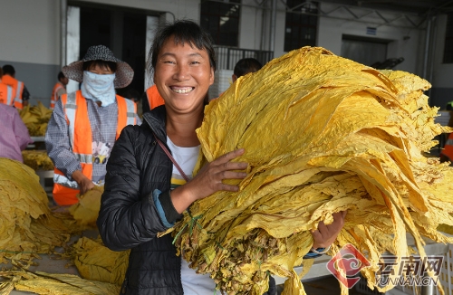 00300078574_f8f0ad69 00300078574_f8f0ad69