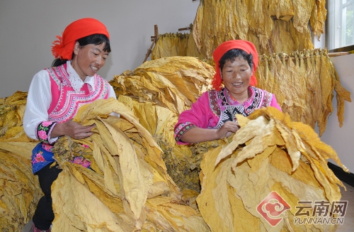 00300078575_5ca695e3 00300078575_5ca695e3