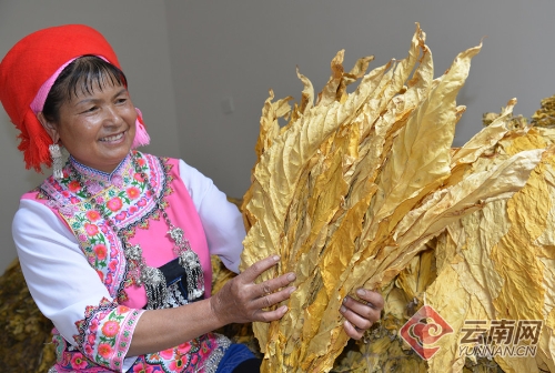 00300078576_95b7a156 00300078576_95b7a156