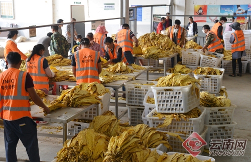 00300078577_9c07f592 00300078577_9c07f592