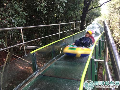 游客体验玻璃丛林漂流1