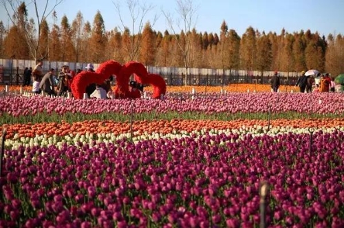 微信图片_20180827151555