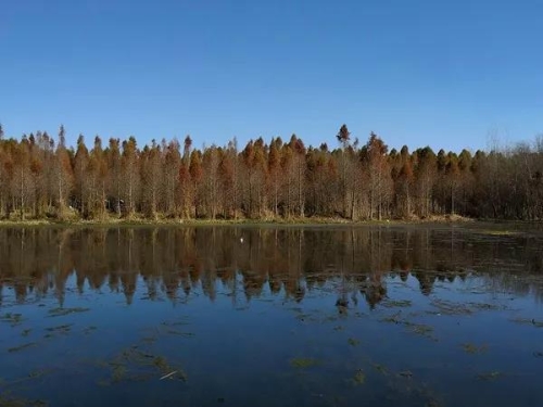 微信图片_20180827151559