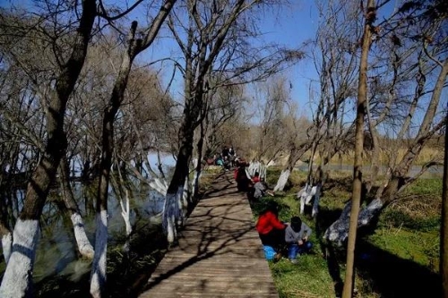 微信图片_20180827151603