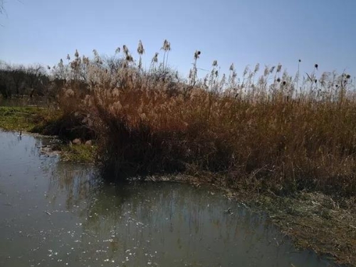 微信图片_20180827151606