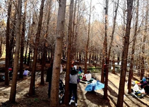 微信图片_20180827151610