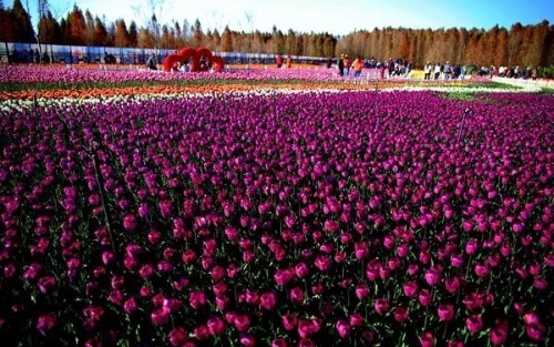 微信图片_20180827151613