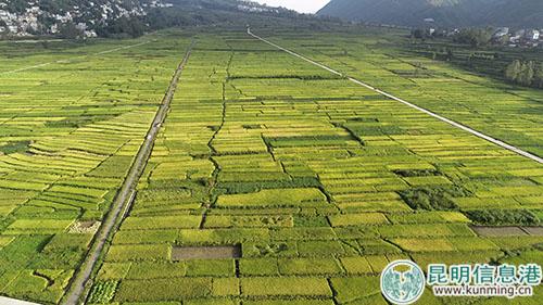 607271620348885055 607271620348885055