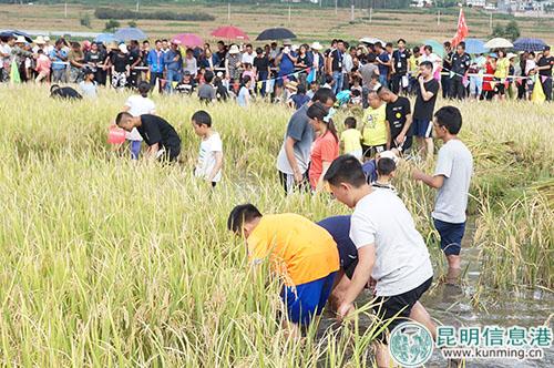 第二届金源良仓农情亲子游摸鱼比赛 第二届金源良仓农情亲子游摸鱼比赛