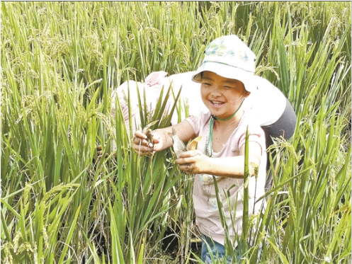 QQ截图20180830081301