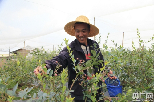 W020180829546256113987 W020180829546256113987