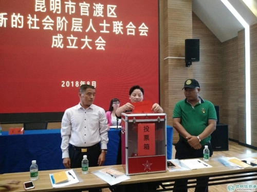 投票选举 投票选举