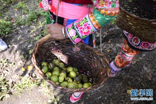 137438090_15358529832971n