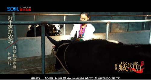 QQ截图20180905173759 QQ截图20180905173759