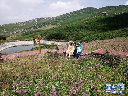 1123385237_15361451049511n 1123385237_15361451049511n