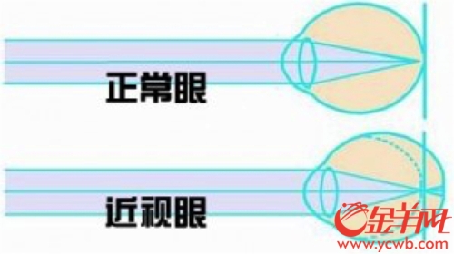 71e2318a-bc33-4213-81a9-20b5884f7c78 71e2318a-bc33-4213-81a9-20b5884f7c78