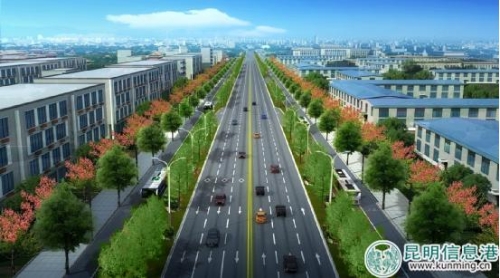 viewdownfile viewdownfile