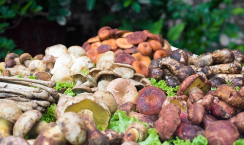 20160804114817363 20160804114817363