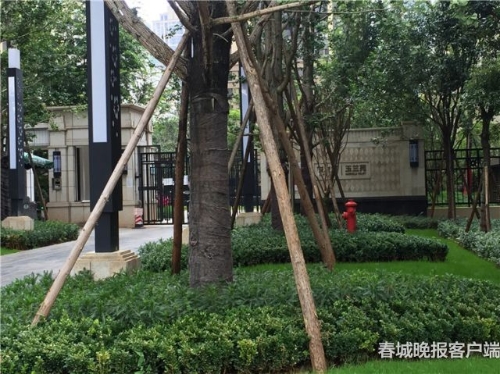 20180820201515P4LIJJ 20180820201515P4LIJJ