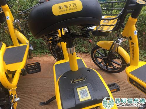 图片1：共享电单车现身昆明富民县街头。