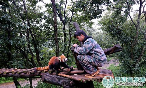 图片2:工作人员与虫虫。 图片2:工作人员与虫虫。