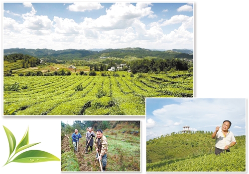 W020180914285121608152