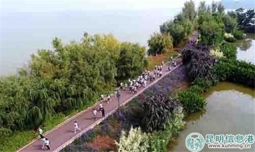 市民们在健走过程中。昆明日报记者周密摄 市民们在健走过程中。昆明日报记者周密摄