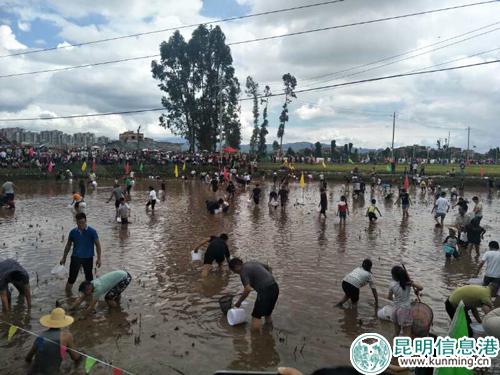 捉谷花鱼体验活动 捉谷花鱼体验活动