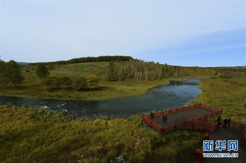 129954112_15370115020491n