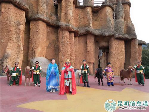 设特兰矮马来到昆明小人国 1