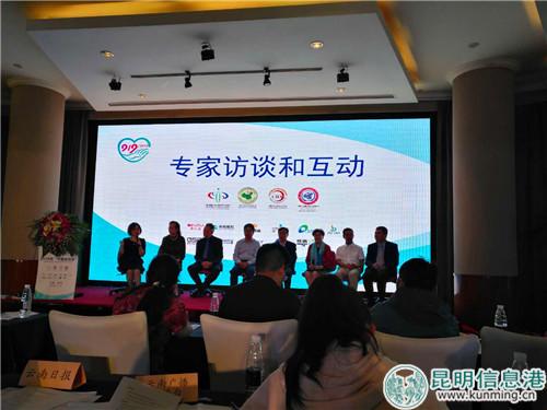 专家访谈和互动