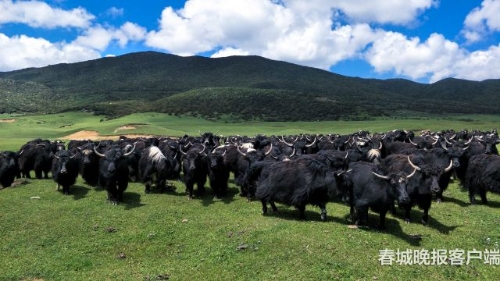 微信图片_20180920093531