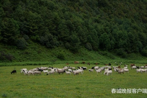 微信图片_20180920093533