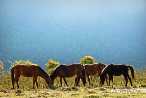 微信图片_20180920093536