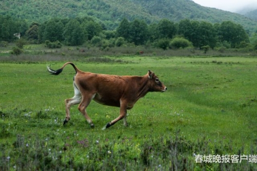 微信图片_20180920093539