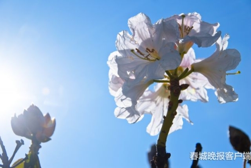 微信图片_20180920093542