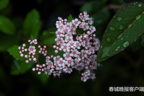 微信图片_20180920093545