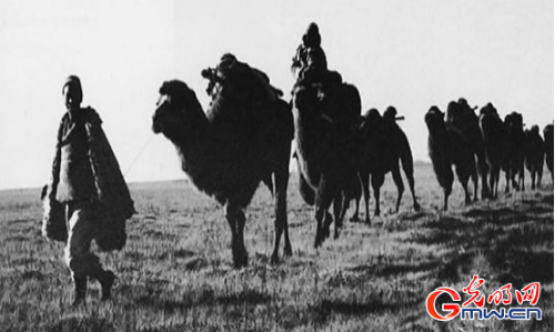 94c69122e4b71d0ea52557