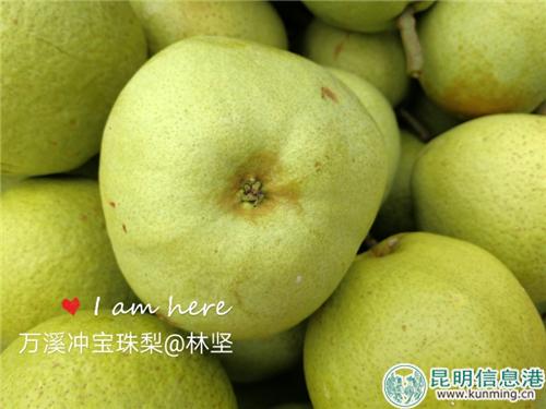 2.甜脆的宝珠梨 林坚 摄