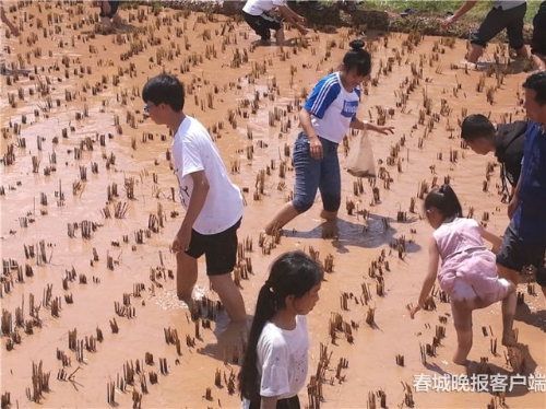 20180922164449YM039F