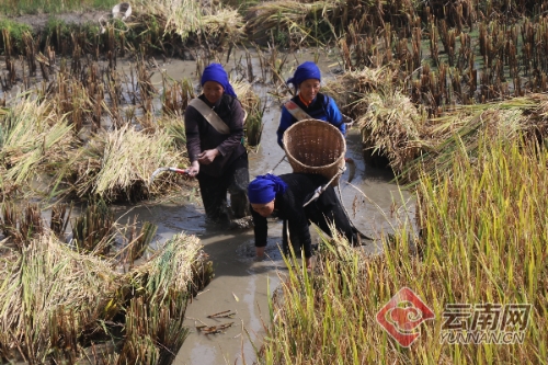 00300121435_fca8564c