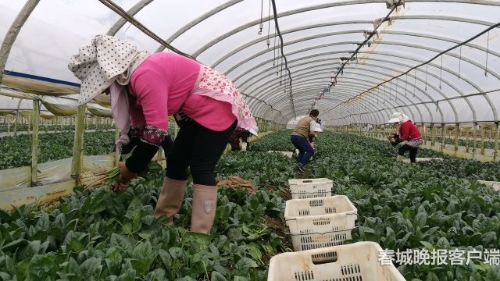 20180925073153SFG2VM 20180925073153SFG2VM