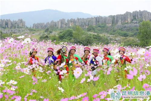 集纳民族风情、鲜花石山等元素的乃古花海,看点十足 集纳民族风情、鲜花石山等元素的乃古花海,看点十足