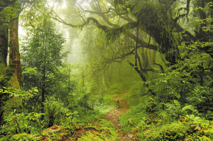 67601537879873657 67601537879873657