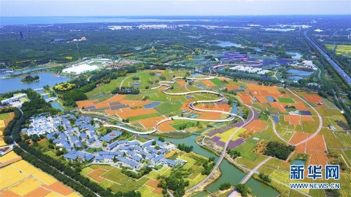 1123481641_15378853479211n