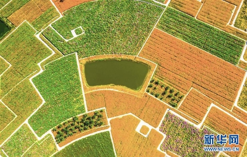 1123481641_15378853480151n