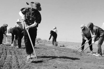 16742465956507598889